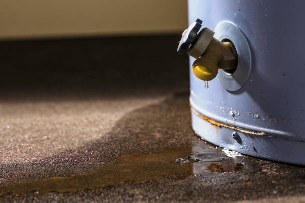 Best Water damage contractors near me  in Breckenridge, TX