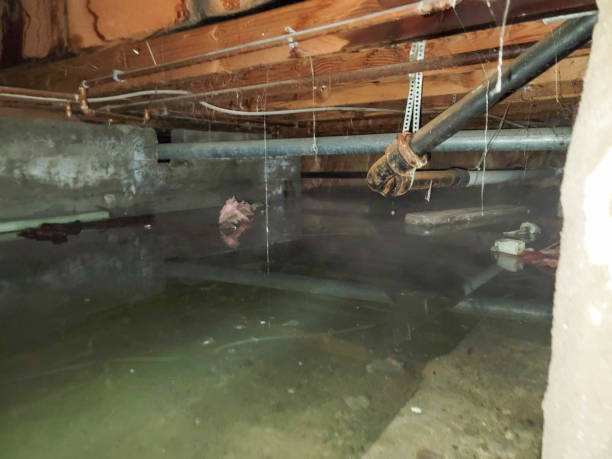 Best Commercial water damage restoration  in Breckenridge, TX