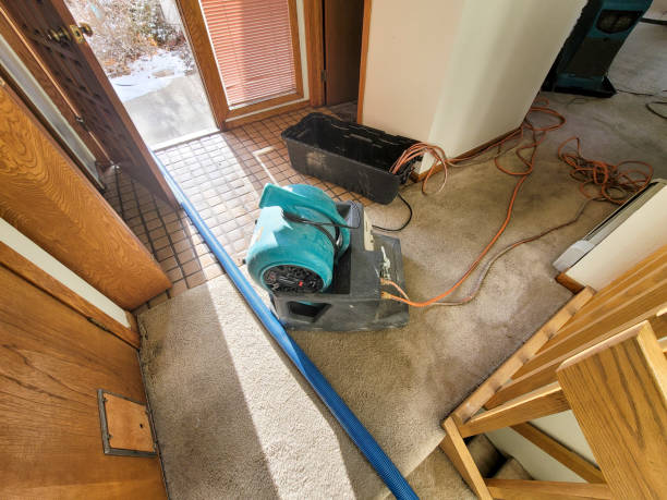 Best Local water damage restoration  in Breckenridge, TX