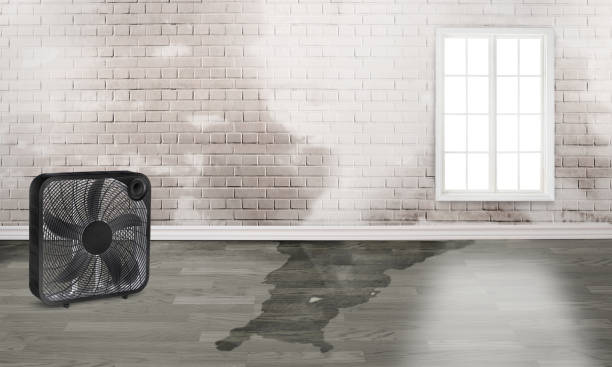 Breckenridge, TX Water damage restoration Company