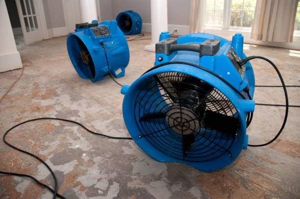 Best Ceiling water damage repair  in Breckenridge, TX