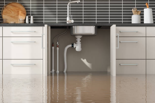 Best Residential water damage restoration  in Breckenridge, TX