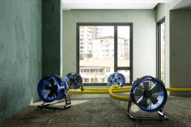 Best Fire Damage Restoration  in Breckenridge, TX