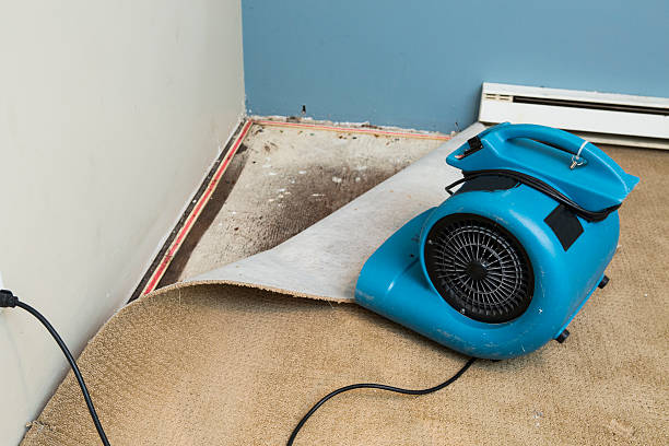 Best Water damage mitigation services  in Breckenridge, TX